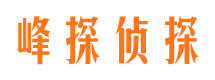 海北市调查公司